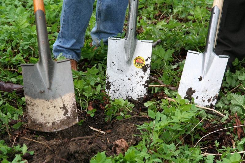 pepiniere-TOUET DE L ESCARENE-min_work-lawn-flower-tool-green-backyard-1103633-pxhere.com